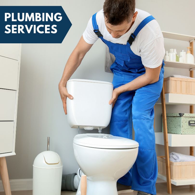 Plumbing Company in Sawyerville, IL
